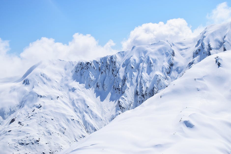  Skiarten: Alpin-Skifahren, Freestyle-Skifahren, Langlaufen, Ski-Cross, Skibergsteigen