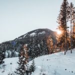 Ski-Auswahl für Anfänger und Fortgeschrittene